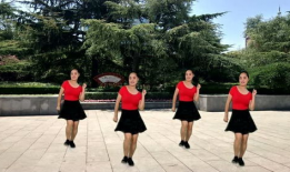 广 场舞视频,乐享人生——广场舞视频魅力解析