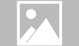 猪吃食的视频,自然觅食行为捕捉瞬间