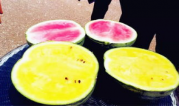 听潮阁吃瓜爆料,娱乐圈幕后风云大起底